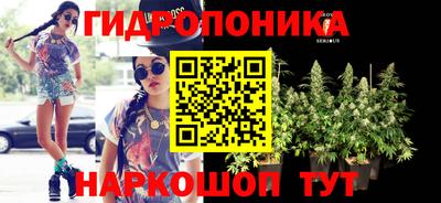 гидропоника Азнакаево