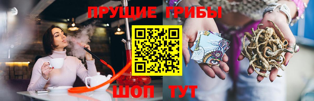 Псилоцибиновые грибы Cubensis Альметьевск