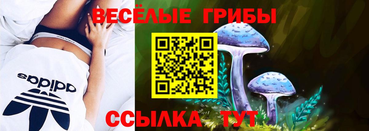 Галлюциногенные грибы MAGIC MUSHROOMS  Псилоцибиновые грибы GOLDEN TEACHER  Альметьевск  Вход с VPN 